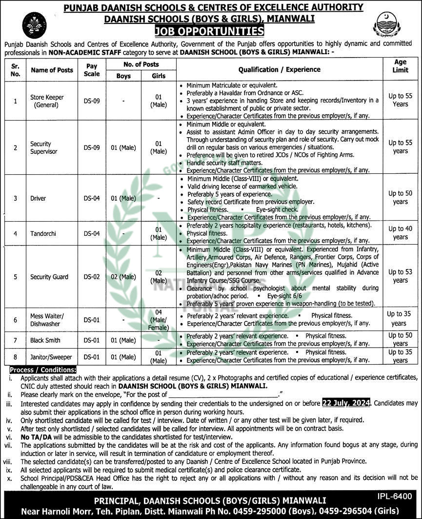 Punjab Danish Schools and Centers of Excellence Authority Jobs 2024 Advertisement