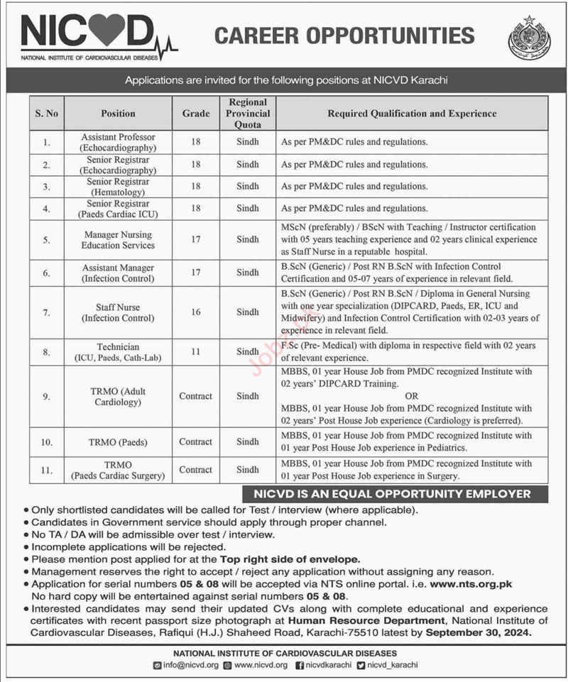 NICVD Jobs 2024 Advertisement