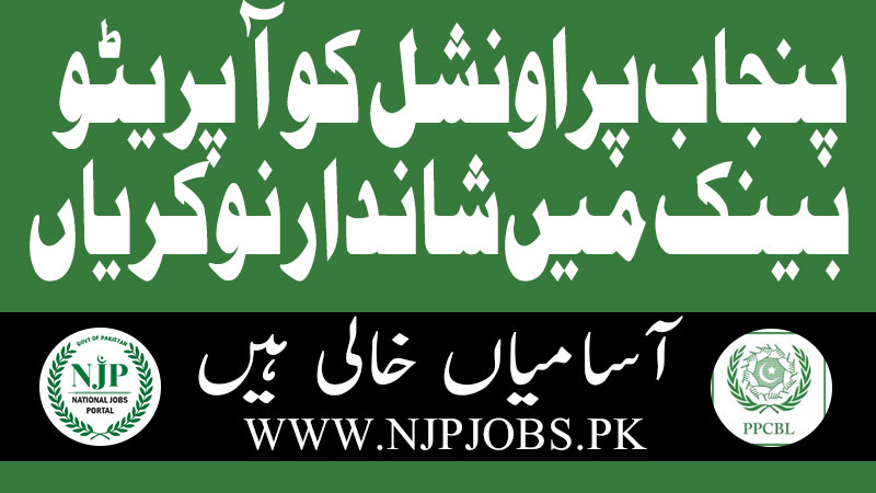 punjab provincial cooperative bank jobs
