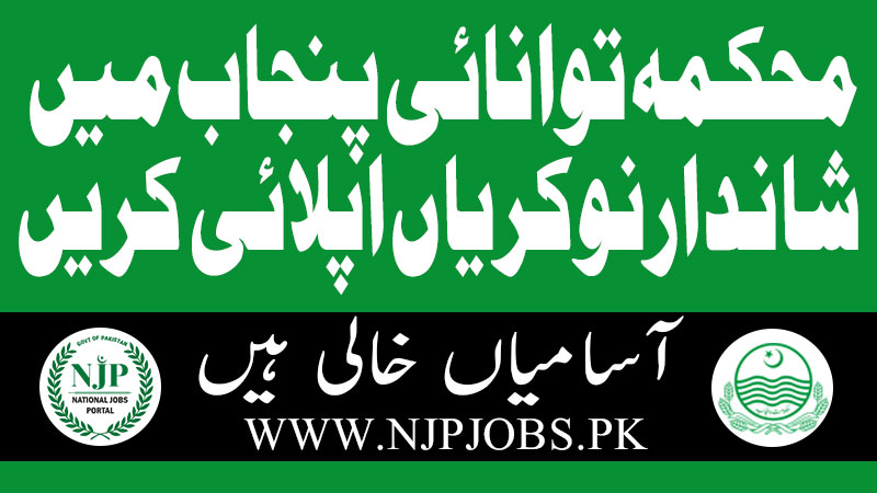 Punjab Energy Department Jobs