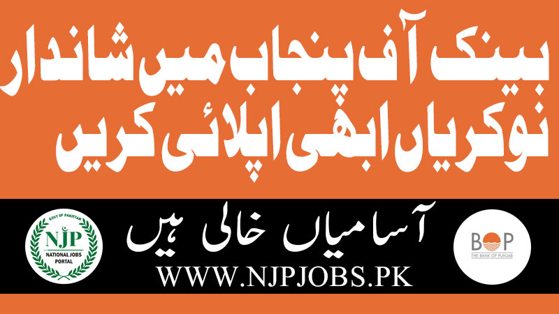 Bank Of Punjab jobs