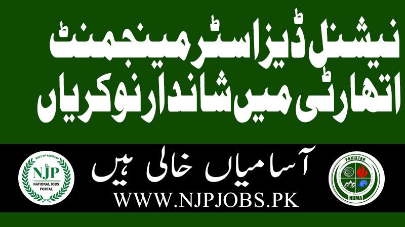 NDMA Jobs