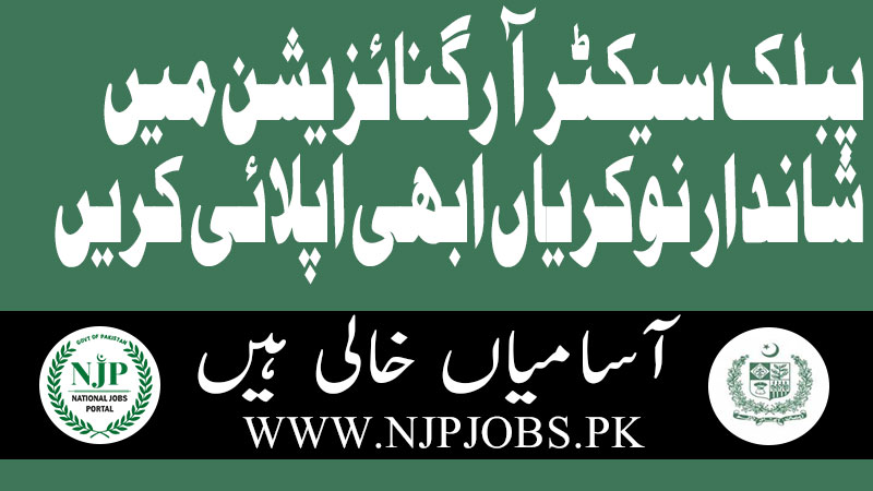 Public Sector Organization PSO Jobs