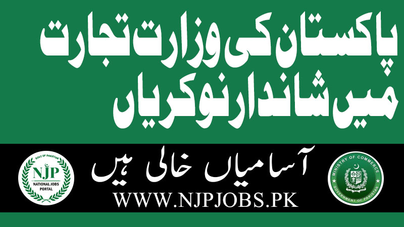 ministry of commerce jobs