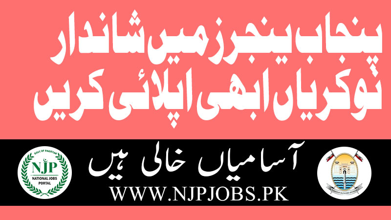 Punjab Ranger Jobs 2024 Apply Online